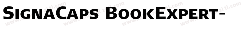 SignaCaps BookExpert字体转换